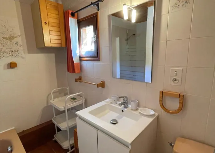 Les Mesanges 公寓 *